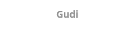 Gudi